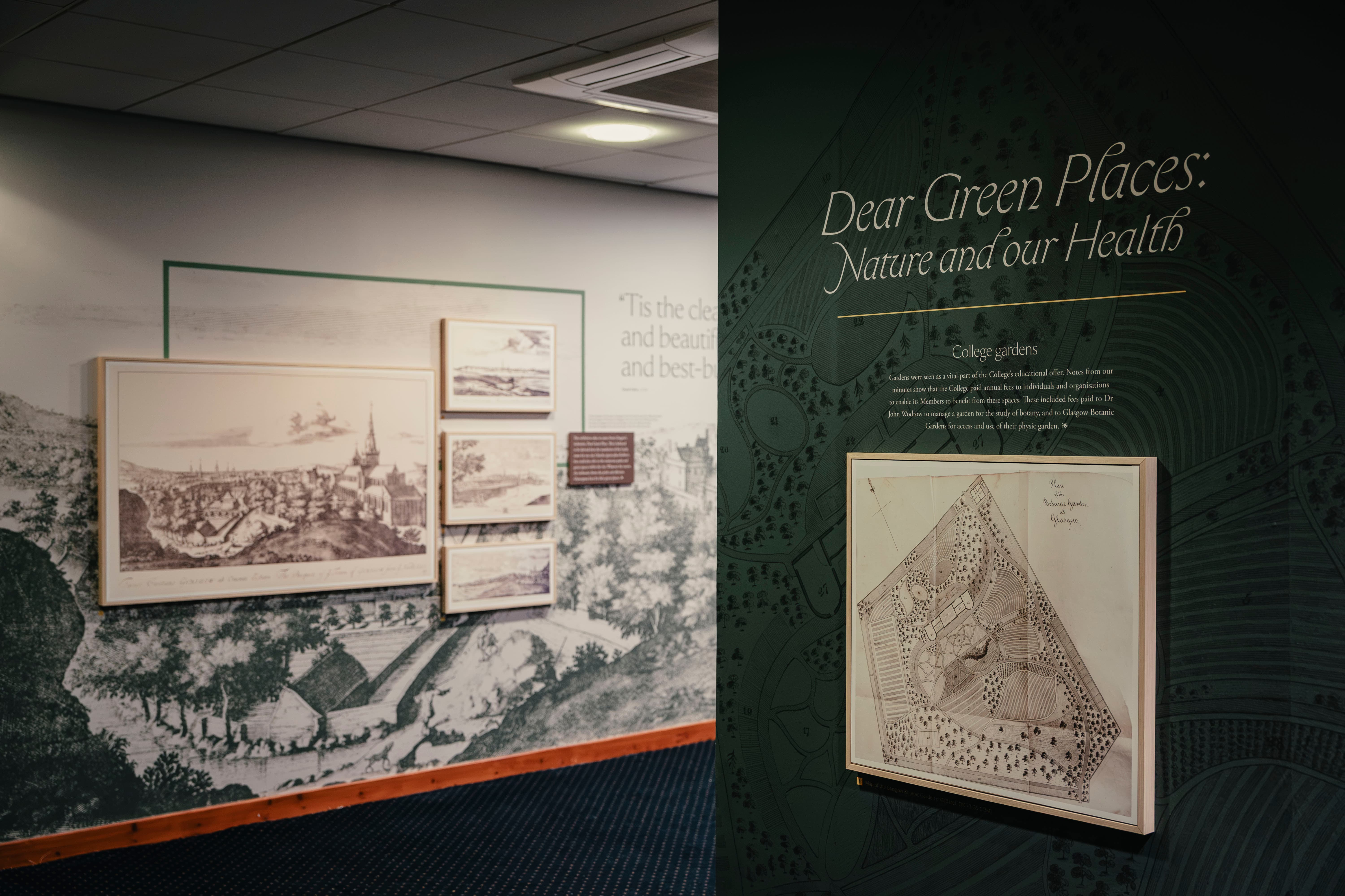 Dear Green Places Gallery 3